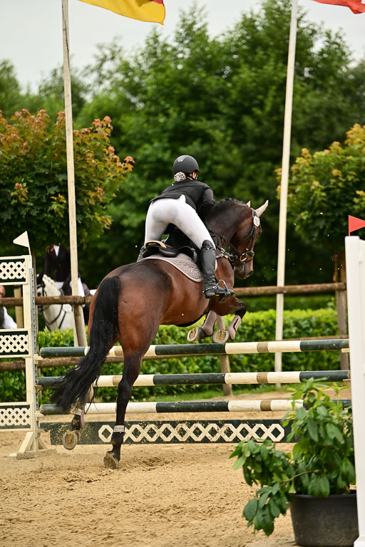  | 05072025 Springen A++_501 