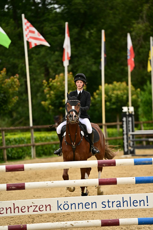  | 05072025 Springen A++_520 