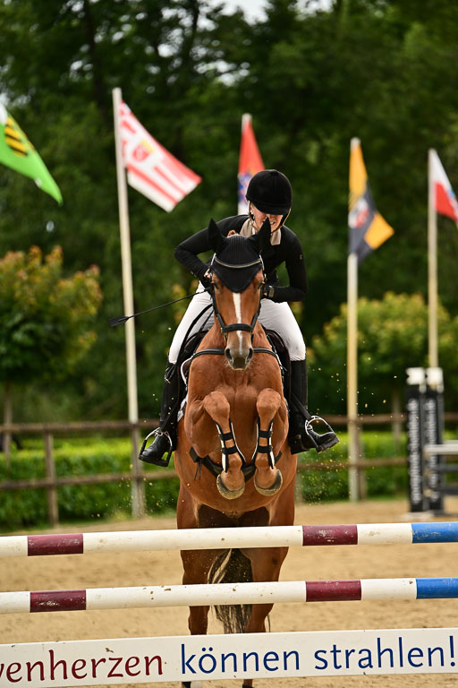  | 05072025 Springen A++_558 