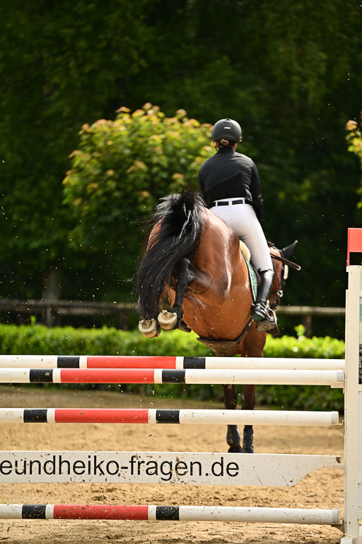  | 06072025 Springen VL _066 