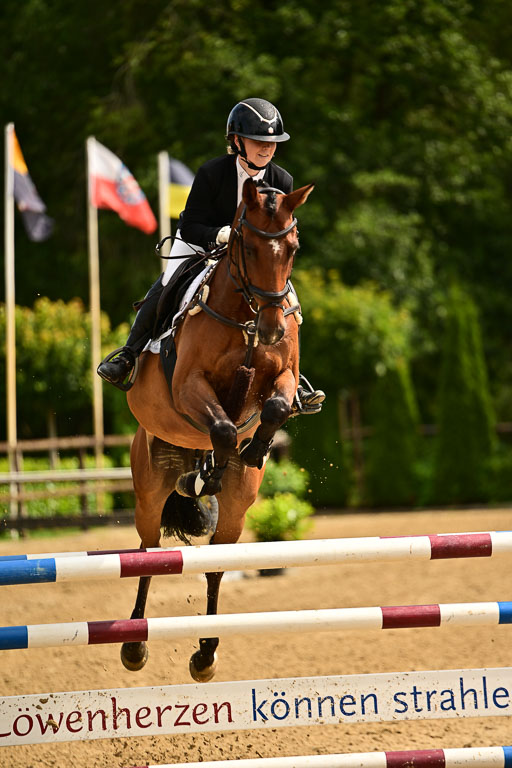  | 06072025 Springen VL _125 