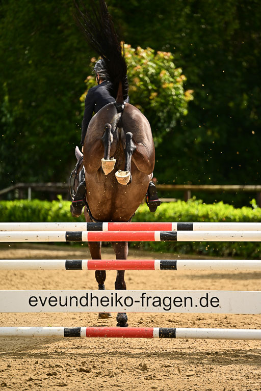  | 06072025 Springen VL _177 