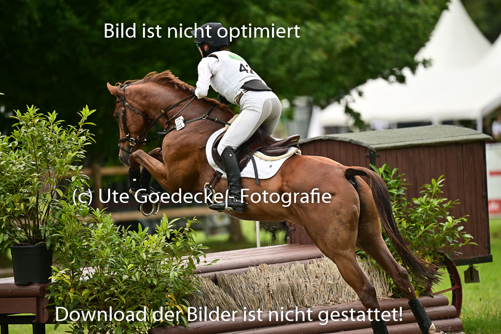  | 05072025 XC VA 2Abt _033 