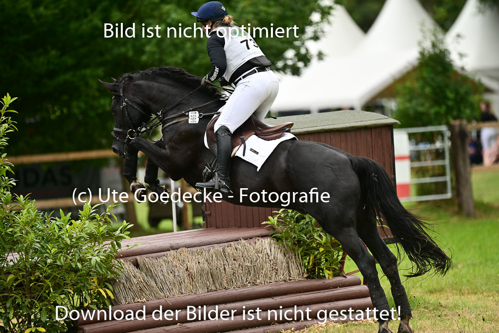  | 05072025 XC VA 2Abt _338 