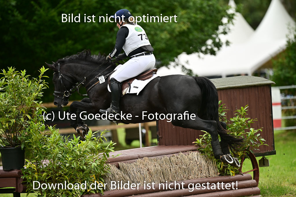  | 05072025 XC VA 2Abt _339 