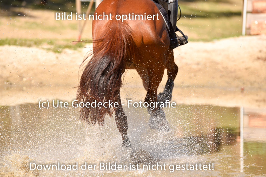  | 12042025 Sahrendorf Intro _147 