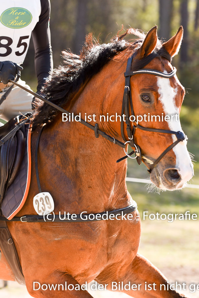  | 12042025 Sahrendorf Intro _504 