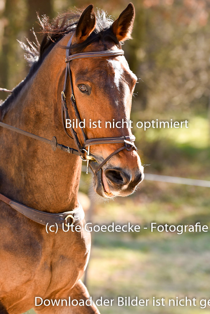  | 12042025 Sahrendorf Intro _518 
