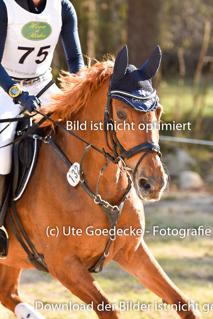  | 12042025 Sahrendorf Intro _560 