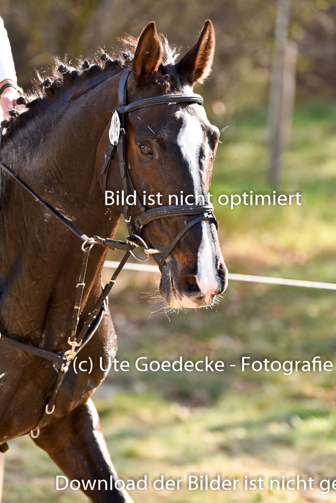  | 12042025 Sahrendorf Intro _591 
