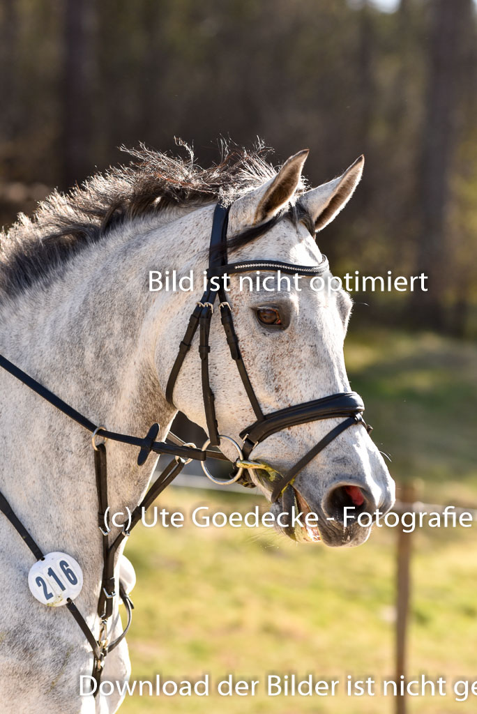  | 12042025 Sahrendorf Intro _614 