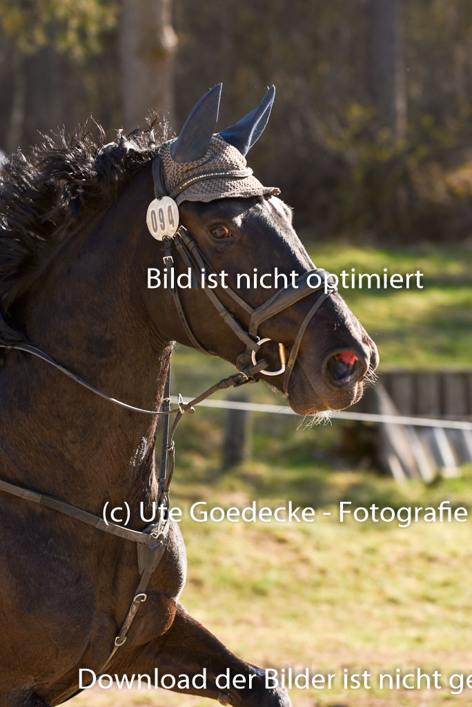  | 12042025 Sahrendorf Intro _654 