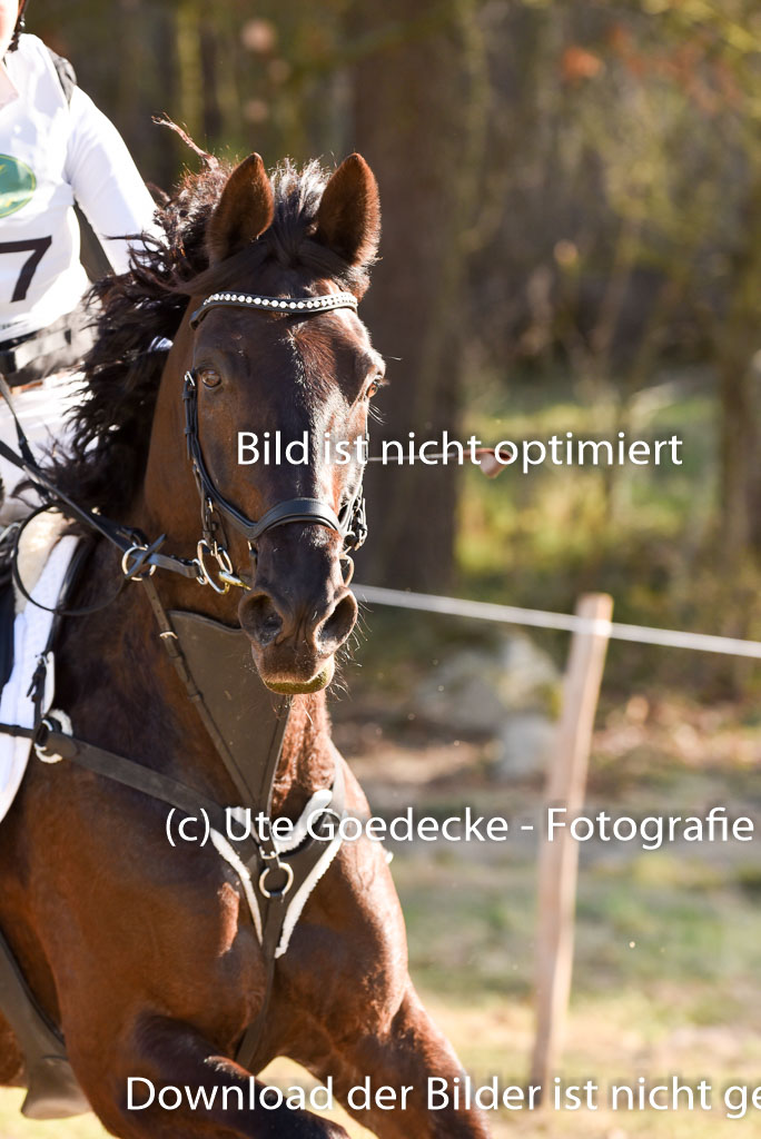  | 12042025 Sahrendorf Intro _665 