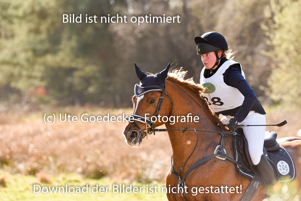  | 12042025 Sahrendorf Intro _678 