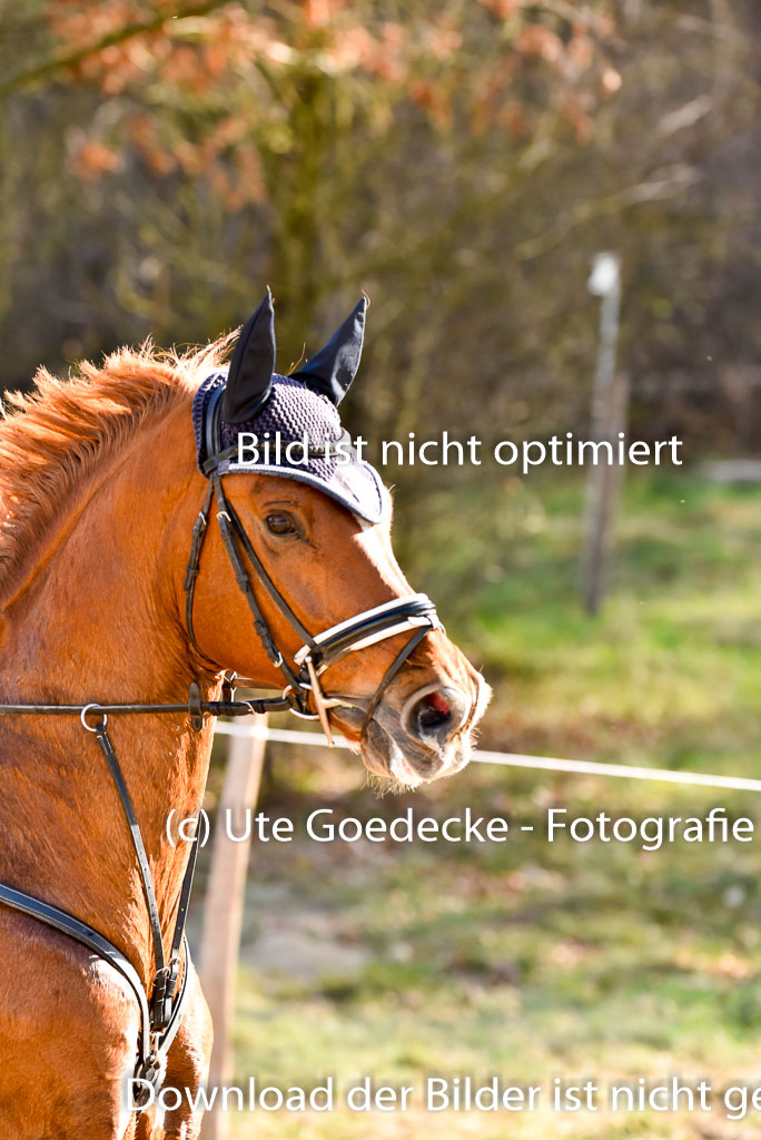  | 12042025 Sahrendorf Intro _682 