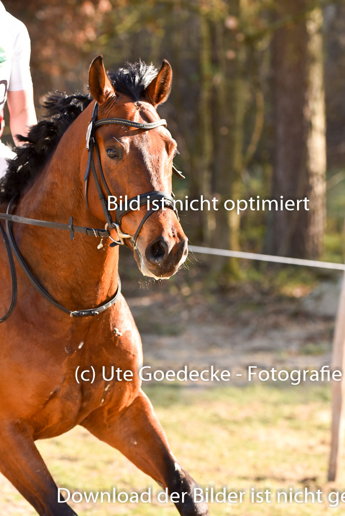  | 12042025 Sahrendorf Intro _721 