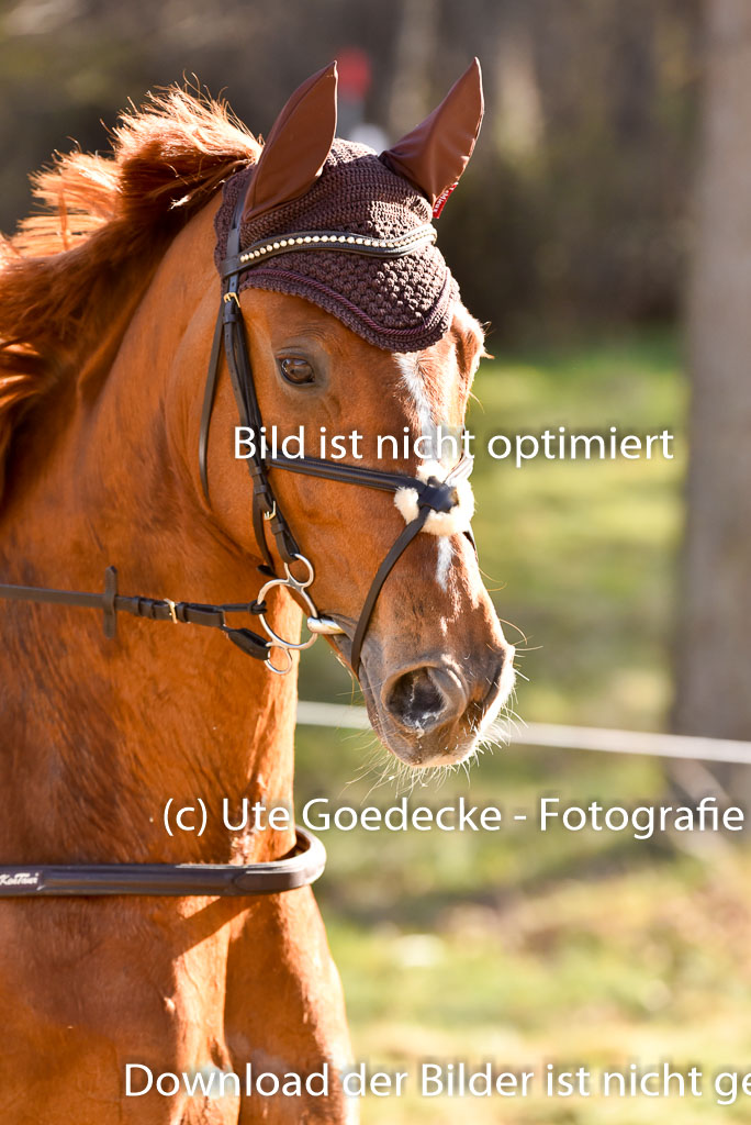  | 12042025 Sahrendorf Intro _756 