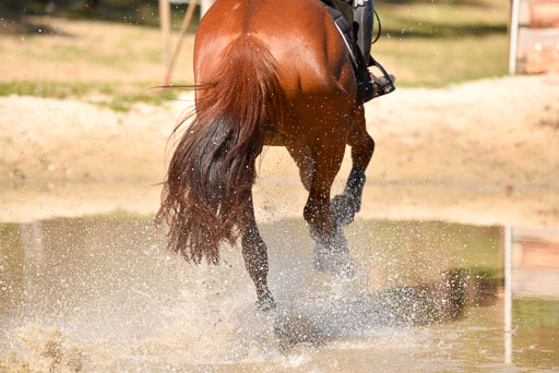  | 12042025 Sahrendorf Intro _147 