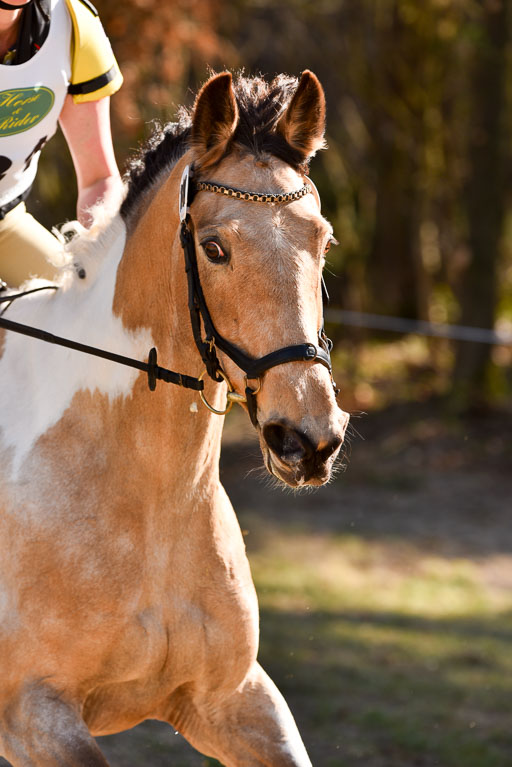  | 12042025 Sahrendorf Intro _463 