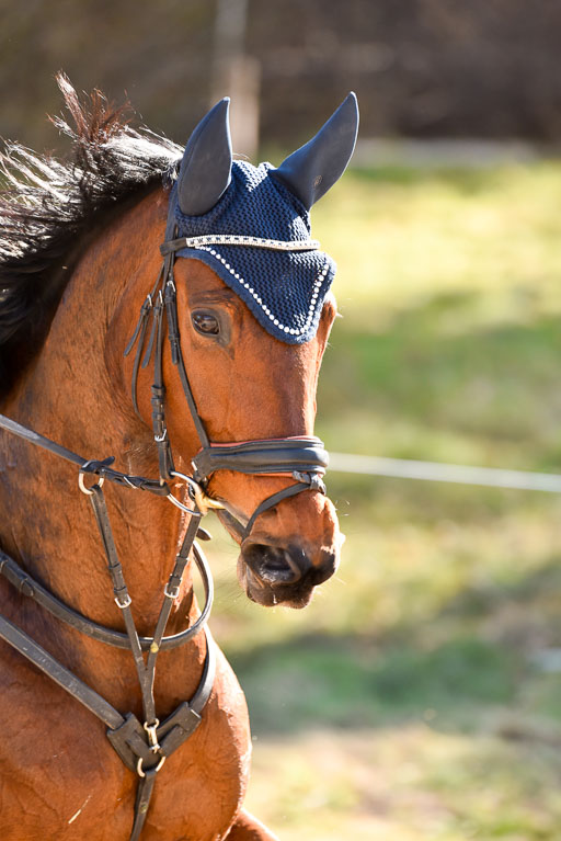  | 12042025 Sahrendorf Intro _481 