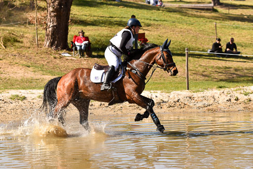  | 12042025 Sahrendorf Intro _485 