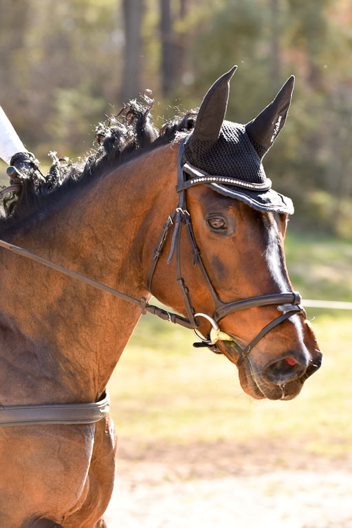  | 12042025 Sahrendorf Intro _551 