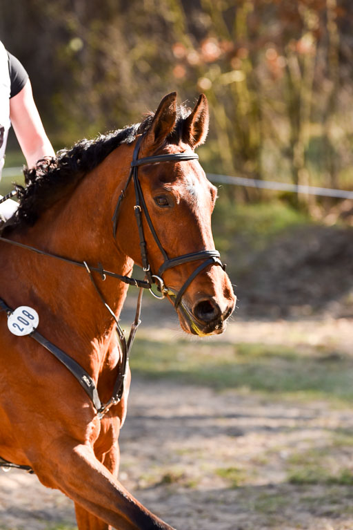  | 12042025 Sahrendorf Intro _571 