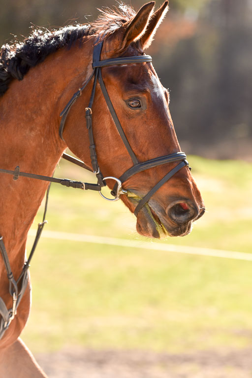  | 12042025 Sahrendorf Intro _572 