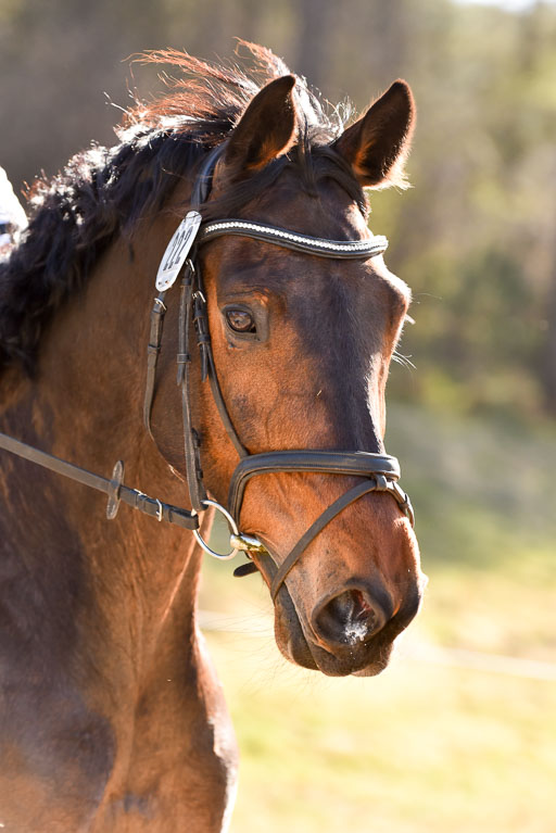  | 12042025 Sahrendorf Intro _638 