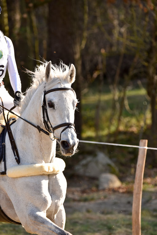  | 12042025 Sahrendorf Intro _647 