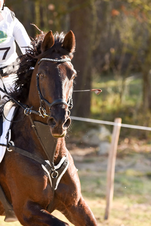  | 12042025 Sahrendorf Intro _665 