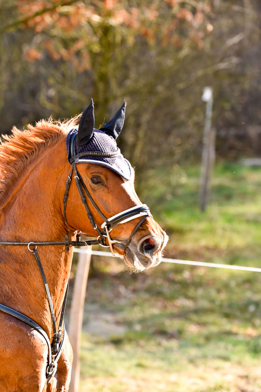  | 12042025 Sahrendorf Intro _682 