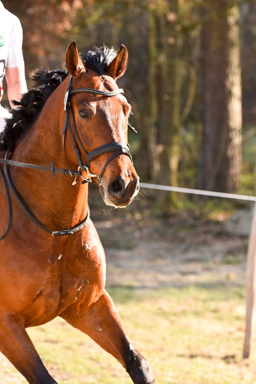  | 12042025 Sahrendorf Intro _721 