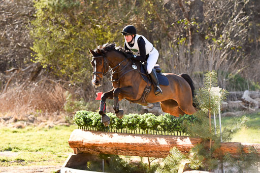  | 12042025 Sahrendorf Intro _729 