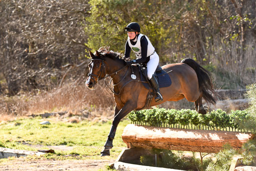  | 12042025 Sahrendorf Intro _730 