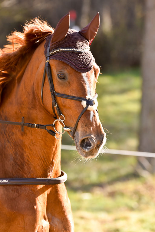  | 12042025 Sahrendorf Intro _756 