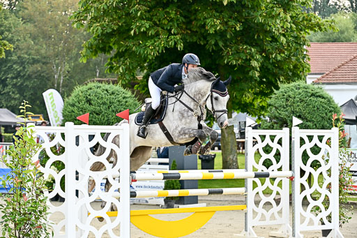 Show Jumping Event Stall Leichle in Schnarup | 140825 Youngster _003 