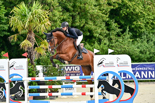 Show Jumping Event Stall Leichle in Schnarup | 140825 Youngster _009 