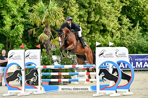 Show Jumping Event Stall Leichle in Schnarup | 140825 Youngster _026 
