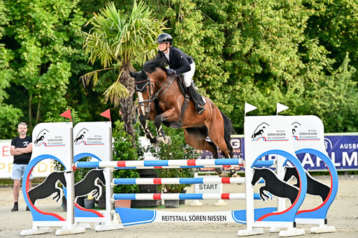 Show Jumping Event Stall Leichle in Schnarup | 140825 Youngster _027 