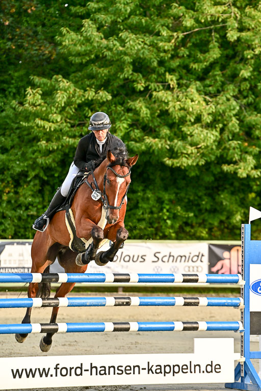 Show Jumping Event Stall Leichle in Schnarup | 140825 Youngster _036 