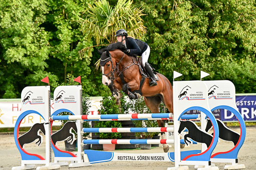Show Jumping Event Stall Leichle in Schnarup | 140825 Youngster _043 