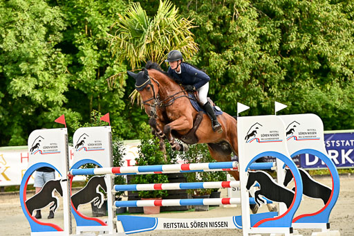Show Jumping Event Stall Leichle in Schnarup | 140825 Youngster _045 