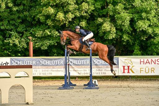 Show Jumping Event Stall Leichle in Schnarup | 140825 Youngster _047 
