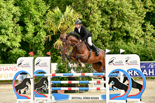 Show Jumping Event Stall Leichle in Schnarup | 140825 Youngster _048 