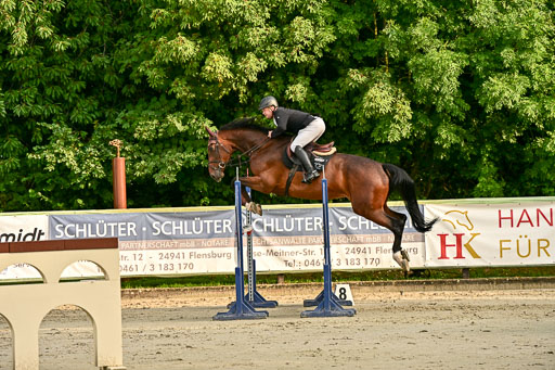 Show Jumping Event Stall Leichle in Schnarup | 140825 Youngster _050 
