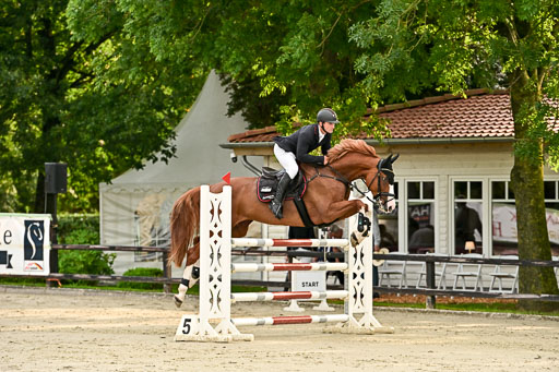 Show Jumping Event Stall Leichle in Schnarup | 140825 Youngster _055 