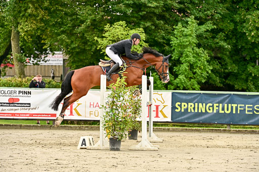 Show Jumping Event Stall Leichle in Schnarup | 140825 Youngster _065 