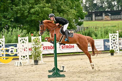 Show Jumping Event Stall Leichle in Schnarup | 140825 Youngster _081 