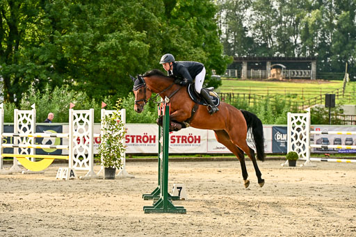 Show Jumping Event Stall Leichle in Schnarup | 140825 Youngster _089 